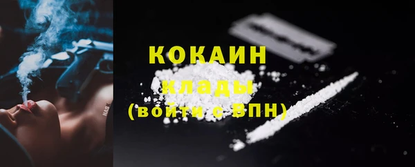 ПСИЛОЦИБИНОВЫЕ ГРИБЫ Дмитров