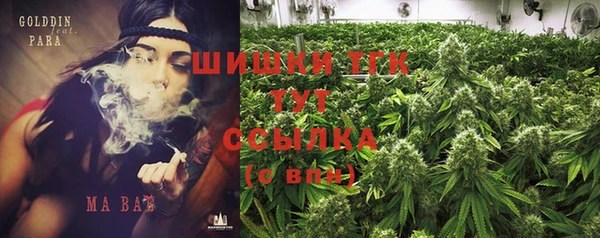 PSILOCYBIN Алзамай