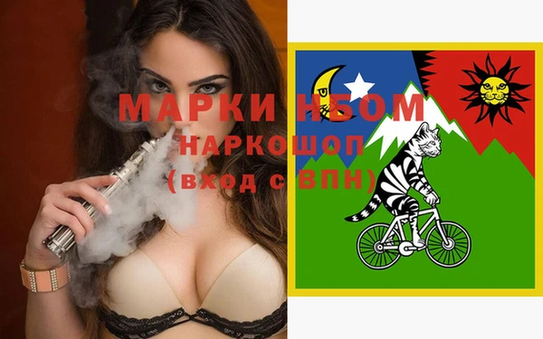 PSILOCYBIN Алзамай