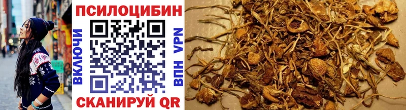 нарко площадка состав  где можно купить   Дубна  Псилоцибиновые грибы MAGIC MUSHROOMS 