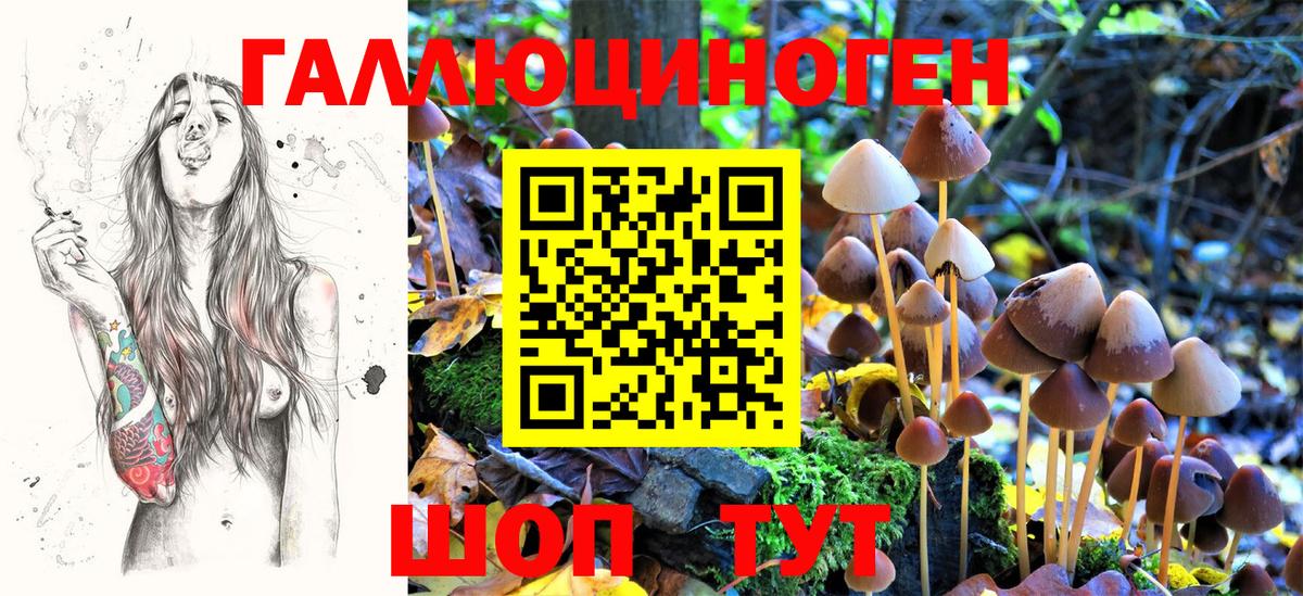 Псилоцибиновые грибы Psilocybe  Псилоцибиновые грибы Psilocybe  Вход с VPN  Дубна 